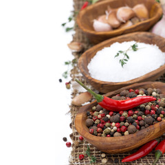 hot pepper, sea salt and spices in wooden bowls, isolated