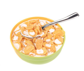 Bowl of cereal with milk.