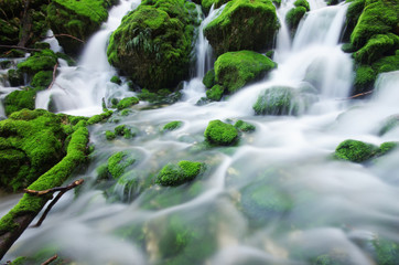 Fototapeta na wymiar Rzeka długa pauza - Chartreuse