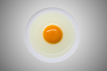 Egg yolk