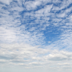Fototapeta premium clouds in the blue sky