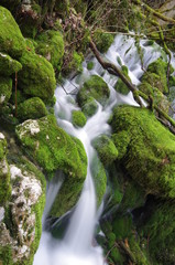 rivière en pause longue - chartreuse