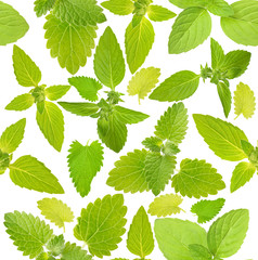 seamless background with mint leaves © Alexander Potapov