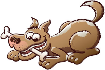 Happy dog ​​chewing a bone