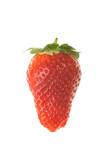 Large ripe strawberry