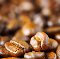 Roasted arabica. Close-up of coffee beans