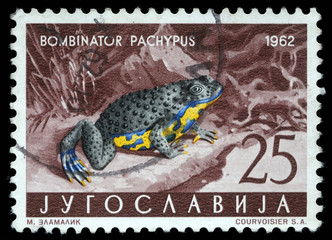 Stamp from Yugoslavia shows the Apennine Yellow-bellied Toad