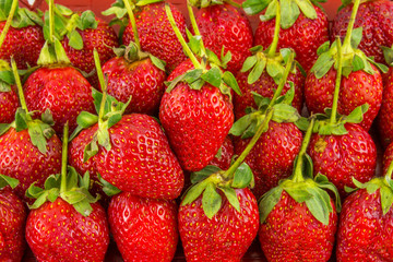Fresh strawberry