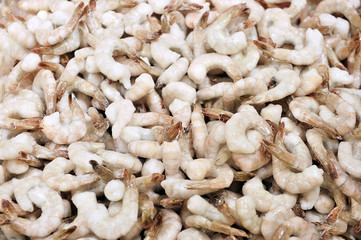 fresh peeled frozen peeled shrimp closeup