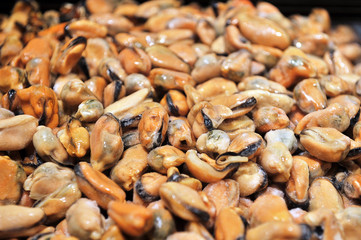 fresh peeled frozen mussels closeup