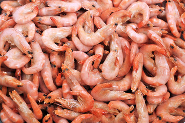 fresh peeled frozen peeled shrimp closeup