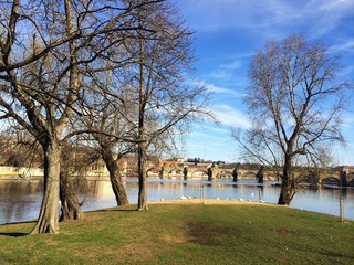 View from Strelecky island of the Charles Bridge