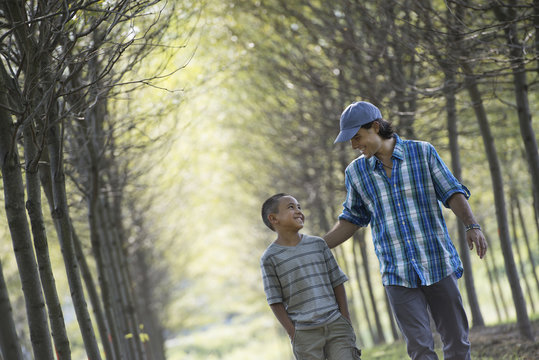 A man and a young boy walking down an avenue of trees. 