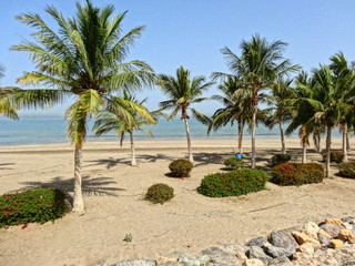 Fototapeta na wymiar Beach and Corniche of Al Qurm (Al Qurum) - Muscat - Oman