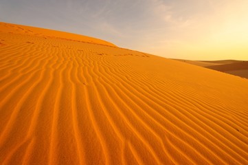 Sand Pattern on Sand Dune