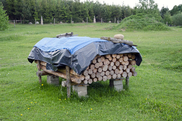 cut tree logs stack on meadow