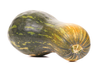 small green  pumpkin