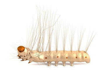 realistic 3d render of caterpillar