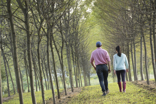 A couple walking between two rows of trees. 