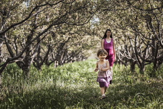 Two children walking in a woodland tunnel of overarching tree branches.