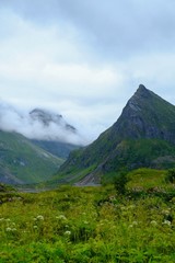 Fototapeta na wymiar Fog in scandinavian mountains landscape