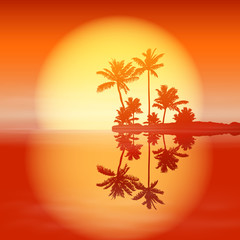 Sea sunset with island and palm trees.