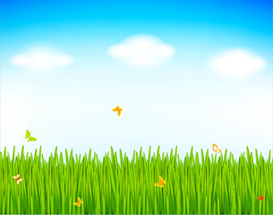 Spring vector background