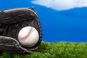 Baseball and Glove on Grass