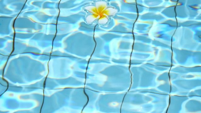 swimming pool and thai flower