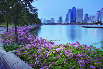 beautiful land scape  with magenta papers flowers and water pond