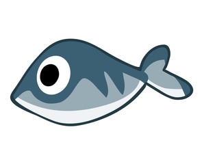 fish isolated illustration