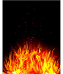 Fototapeta premium fire collection, Fire background
