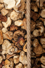 Illuminated and dark  mushroom  and rope