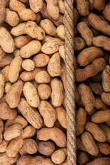 Illuminated and dark peanut and rope