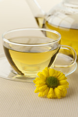 Chinese Chrysanthemum tea