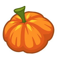 Pumpkin isolated illustration