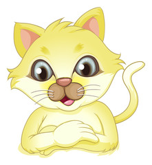A yellow cat