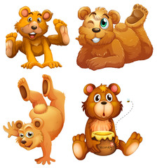 Four playful brown bears