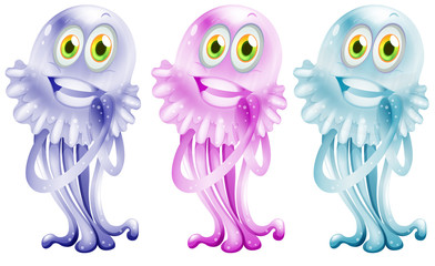 Three colorful jellies