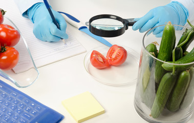 Halved tomato inspected in phytocontrol laboratory