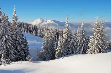 Vlies Fototapete Winter Winter in the mountain forest