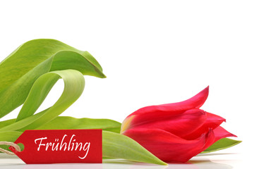 Frühlingsbeginn