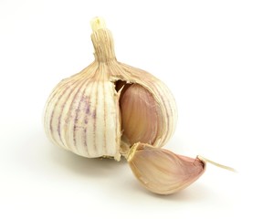 czosnek