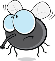 Cartoon Fly