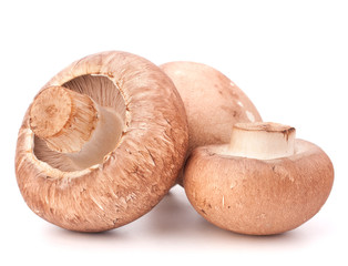 Brown champignon mushroom