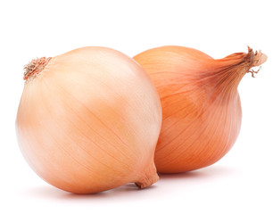 Gold onion vegetable bulbs