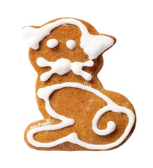 Gingerbread cookie