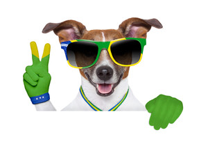 brazil  fifa world cup  dog