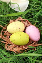 Naklejka na ściany i meble Easter eggs on green grass, close up