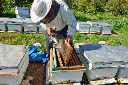 honey frame